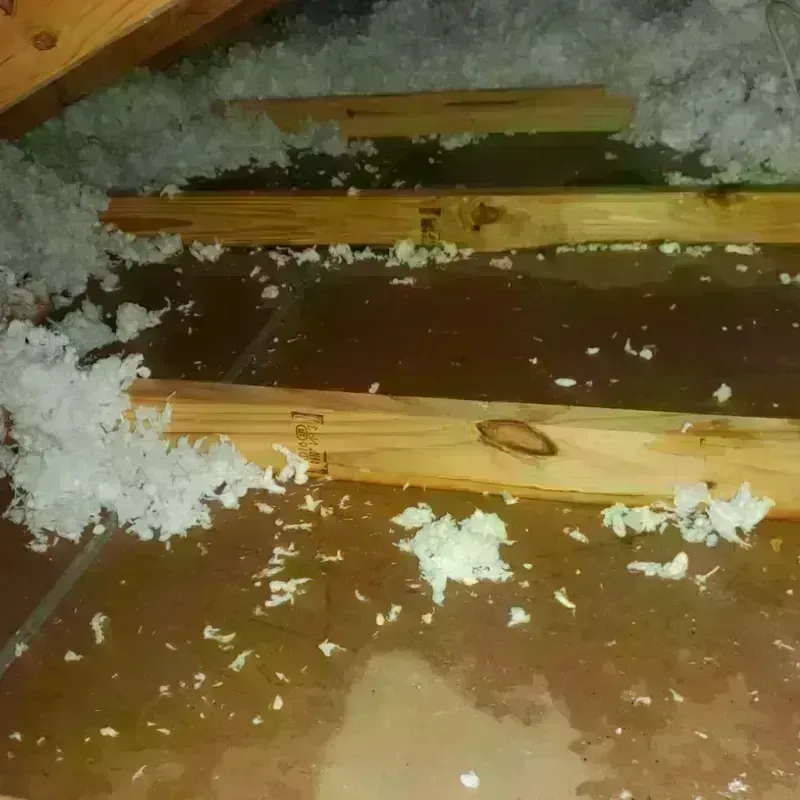 Attic Water Damage in Monterey County, CA