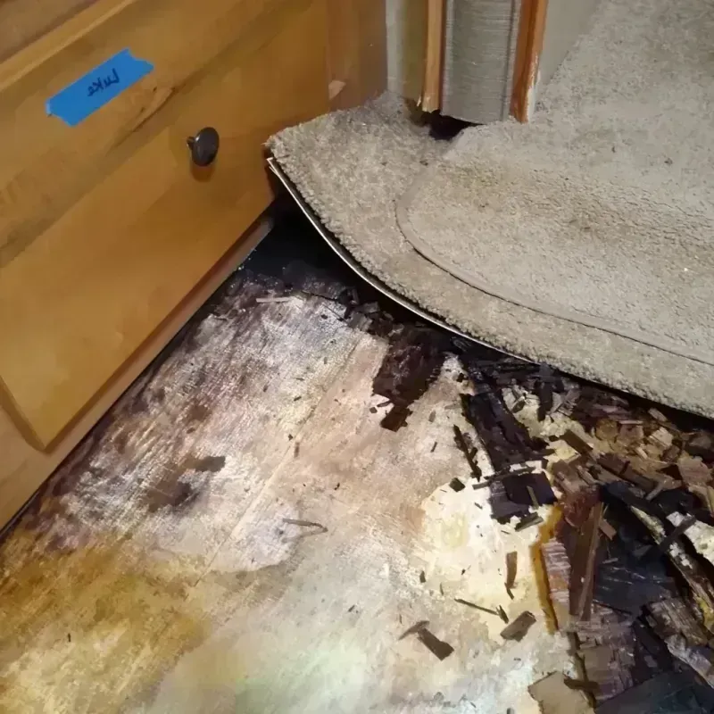 Wood Floor Water Damage in Monterey County, CA